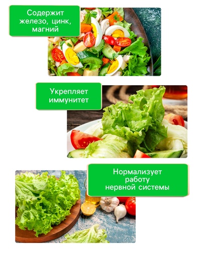 Семена Салат «Кучерявец Одесский», 0.5 г, «Рецепты дедушки Никиты»