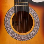 Набор гитариста Music Life ML-60A SB: гитара, чехол, струны, ремень, каподастр, тюнер - Фото 4