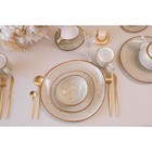 Набор тарелок фарфоровых обеденных Magistro Mediterana, 2 предмета: 26×24,5 см, цвет бежевый - Фото 9