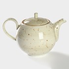 Чайник фарфоровый заварочный Magistro Mediterana, 900 мл, цвет бежевый - фото 4432105