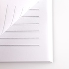 Ежедневник в мягкой обложке на выпускной «Выпукник! Удачи» формат А5, 80 листов - Фото 3