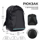 Рюкзак молодёжный, 44 х 30 х 17 см, эргономичная спинка, Calligrata Корсо "Basic" - фото 321213879