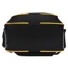 Рюкзак школьный, 37 х 27 х 16 см, эргономичная спинка, Calligrata Б "Гусь" - фото 23988406