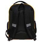 Рюкзак школьный, 37 х 27 х 16 см, эргономичная спинка, Calligrata Б "Гусь" - фото 23988403