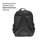 Рюкзак школьный, 37 х 27 х 16 см, эргономичная спинка, Calligrata Б "Сакура" - фото 23882566