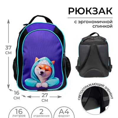 Рюкзак школьный, эргономичная спинка, 37×27×16 см «Сиба»