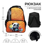 Рюкзак школьный, 37 х 26 х 13 см, эргономичная спинка, Calligrata ОРТ "Панда" - фото 297726212