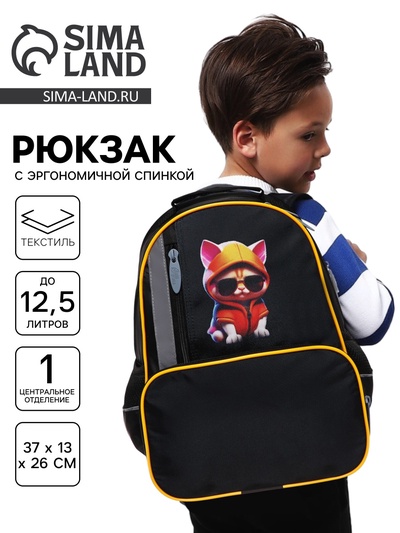 Рюкзак школьный, эргономичная спинка, 37×26×13 см «Крутой кот»