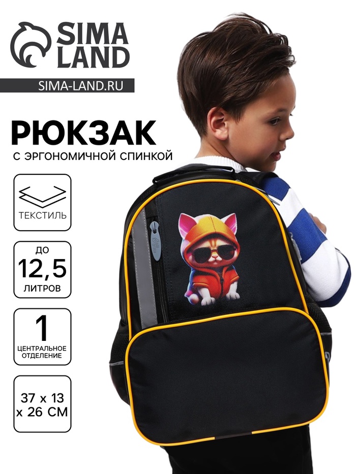Рюкзак школьный, эргономичная спинка, 37×26×13 см «Крутой кот»