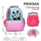 Рюкзак школьный, 37 х 26 х 13 см, эргономичная спинка, Calligrata ОРТ "Котик панда" - фото 321213900