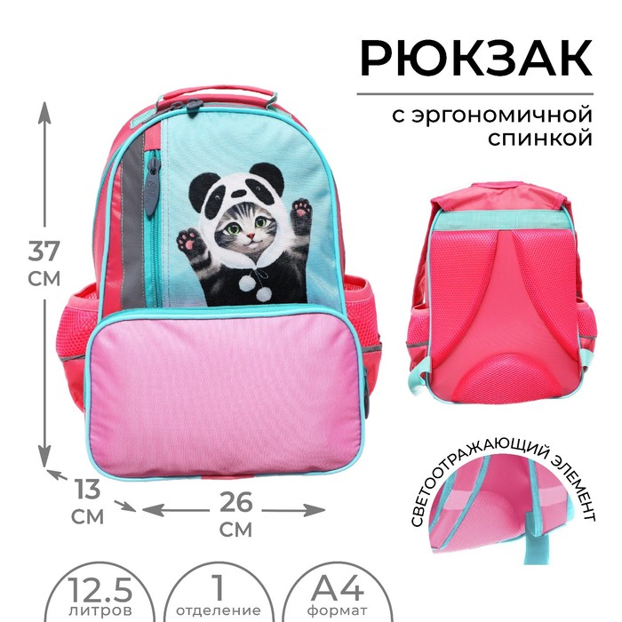 Рюкзак школьный, 37 х 26 х 13 см, эргономичная спинка, Calligrata ОРТ "Котик панда"