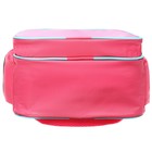 Рюкзак школьный, эргономичная спинка, 37×26×13 см «Котик панда» - Фото 12