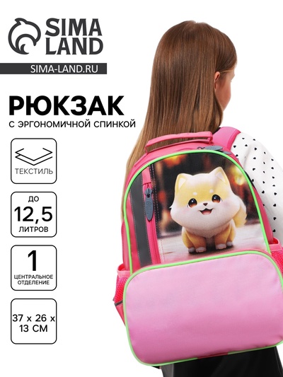 Рюкзак школьный, эргономичная спинка, 37×26×13 см «Сиба»