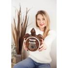 Сувенирный музыкальный инструмент Калимба «Черепаха» 23×18×7 см - Фото 6