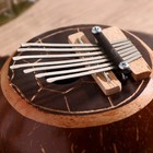 Сувенирный музыкальный инструмент Калимба «Черепаха» 23×18×7 см - Фото 3