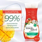 Шампунь для волос Krasota Naked Botanics, сияние цвета, 400 мл - фото 321834489