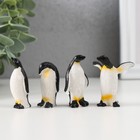 Сувенир полистоун "Императорский пингвин" МИКС 1,8х2,7х4,5 см - фото 321214862