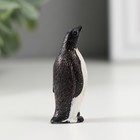 Сувенир полистоун "Императорский пингвин" МИКС 1,8х2,7х4,5 см - Фото 4