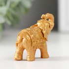 Фигурка полистоун «Золотой слоник», 2.2×5×4.5 см, МИКС - Фото 4