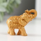 Фигурка полистоун «Золотой слоник», 2.2×5×4.5 см, МИКС - Фото 5