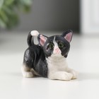 Сувенир полистоун "Чёрно-белый котёнок" МИКС 2,2х3х4,4 см - Фото 2