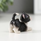 Сувенир полистоун "Чёрно-белый котёнок" МИКС 2,2х3х4,4 см - Фото 3
