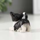 Сувенир полистоун "Чёрно-белый котёнок" МИКС 2,2х3х4,4 см - Фото 4