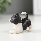 Сувенир полистоун "Чёрно-белый котёнок" МИКС 2,2х3х4,4 см - Фото 5