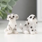 Фигурка полистоун «Пятнистый пёс», 2.8×3×4 см, МИКС - Фото 1