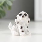 Фигурка полистоун «Пятнистый пёс», 2.8×3×4 см, МИКС - Фото 2