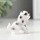 Фигурка полистоун «Пятнистый пёс», 2.8×3×4 см, МИКС - Фото 3