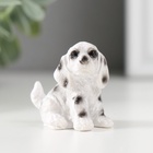 Фигурка полистоун «Пятнистый пёс», 2.8×3×4 см, МИКС - Фото 3