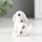 Фигурка полистоун «Пятнистый пёс», 2.8×3×4 см, МИКС - Фото 4
