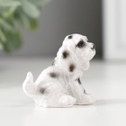 Фигурка полистоун «Пятнистый пёс», 2.8×3×4 см, МИКС - Фото 4