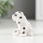 Фигурка полистоун «Пятнистый пёс», 2.8×3×4 см, МИКС - Фото 5