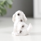 Фигурка полистоун «Пятнистый пёс», 2.8×3×4 см, МИКС - Фото 5