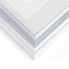 Фоторамка пластик "Gala" 10х15 см, серебро (пластиковый экран) - фото 23819576