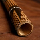 Сувенирный музыкальный инструмент "Диджериду с ящерицей" 120х6х6 см МИКС - Фото 2