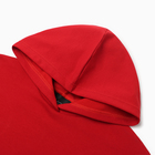 Костюм женский (толстовка и брюки) MIST Punk с вышивкой, р. 40-42, красный - фото 807394679 Костюм женский (толстовка и брюки) MIST Punk с вышивкой, р. 40-42, красный - фото 807394679