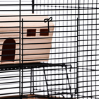 Клетка для грызунов "Пижон" №10, 2 этажа, разборная, 42 х 30 х 37см (+домик,колесо,миска), бежевая - Фото 3