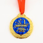 Медаль школьная на Выпускной «Выпускник 2024», на ленте, золото, металл, d = 4 см - фото 11211059