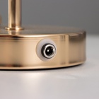 Настольная лампа сенсорная "Джемма" LED 10Вт АКБ золото 20х20х32 см - фото 809489156