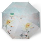 Зонт механический «Лилии», эпонж, 4 сложения, 8 спиц, R = 47 см, цвет МИКС - Фото 16