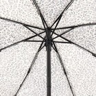 Зонт автоматический «Леопард», эпонж, 3 сложения, 8 спиц, R = 48 см, цвет МИКС - Фото 6