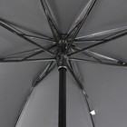 Зонт механический «Ромашки», эпонж, 4 сложения, 8 спиц, R = 48 см, цвет МИКС - Фото 7