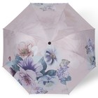 Зонт механический «Фиалки», эпонж, 4 сложения, 8 спиц, R = 49 см, цвет МИКС - Фото 15