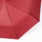 Зонт полуавтоматический «Розы», с проявляющимся рисунком, эпонж, 3 сложения, 8 спиц, R = 48 см, цвет МИКС - Фото 12