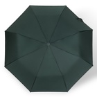 Зонт полуавтоматический «Розы», с проявляющимся рисунком, эпонж, 3 сложения, 8 спиц, R = 48 см, цвет МИКС - Фото 19
