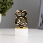 Фигурка светящаяся RISALUX «Сова», LED-ночник, от батареек 3×LR41, золото, 3.5×3.5×6 см - Фото 1