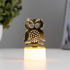 Фигурка светящаяся RISALUX «Сова», LED-ночник, от батареек 3×LR41, золото, 3.5×3.5×6 см - Фото 2